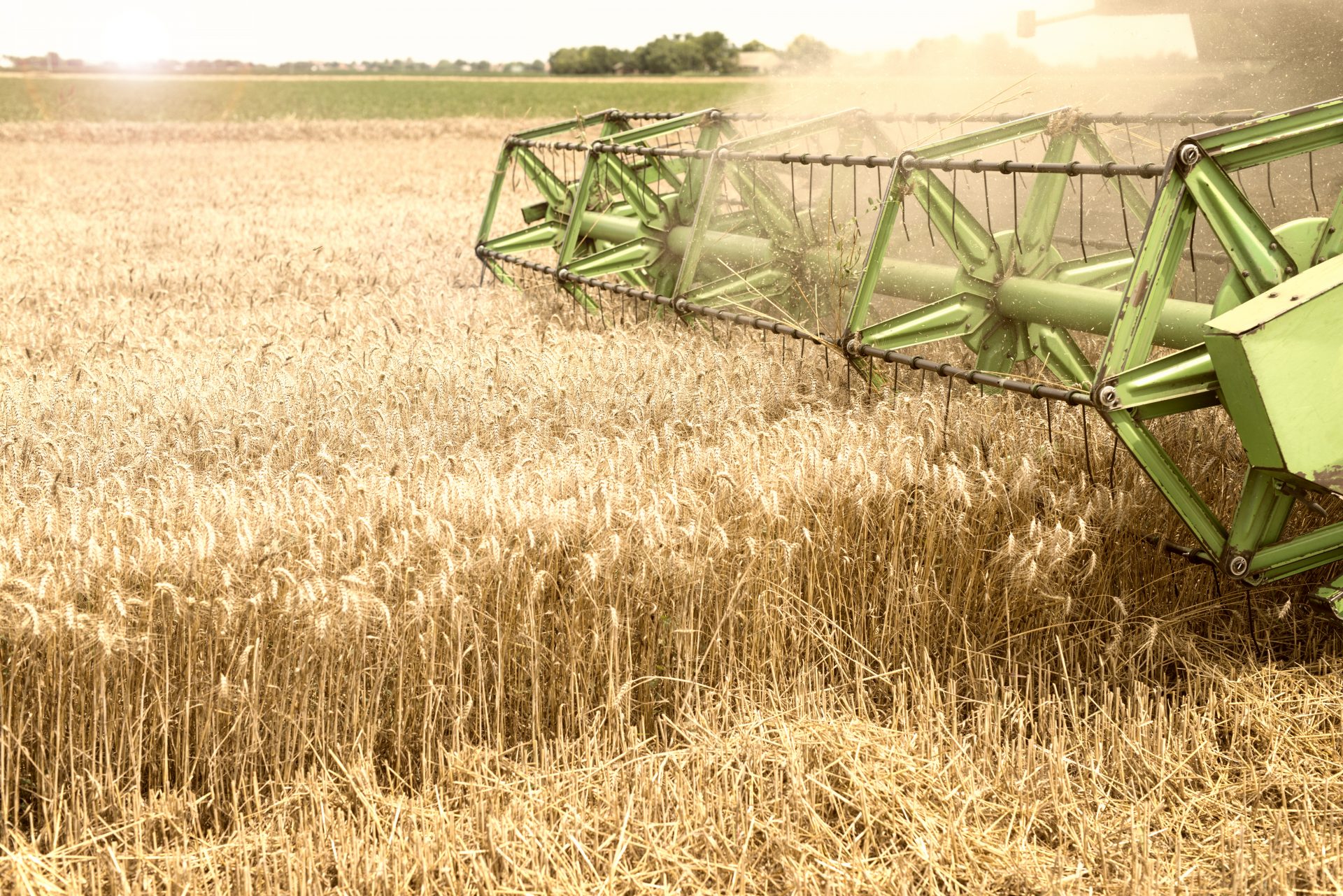 combine-harvester-working-in-wheat-field